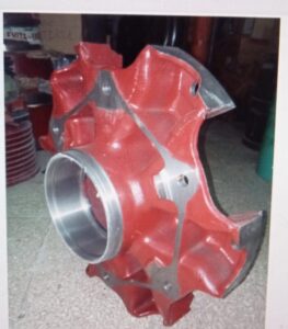 Raggiera 791014
